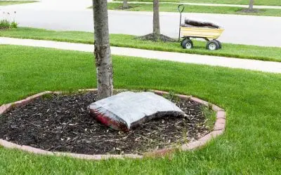 6 Easy Ways to Be a Better Homeowner