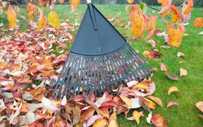 5 Fall Home Improvement Ideas