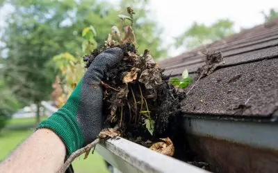 4 Summertime Home Improvement Projects