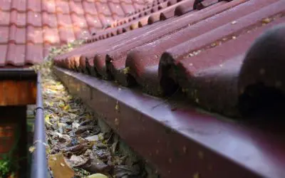 Clean Your Home’s Gutters in 4 Easy Steps