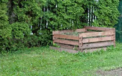Embracing the Green Revolution: A Guide to Home Composting