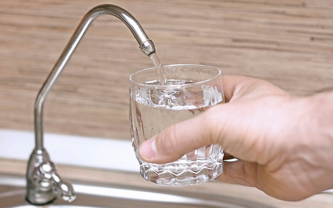 Which Home Water Filter is Right for You?