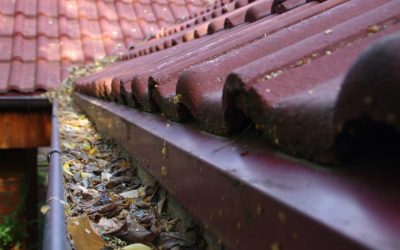 Clean Your Home’s Gutters in 4 Easy Steps
